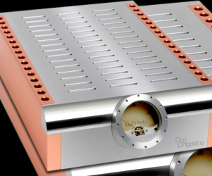 From the mind of Dan D'Agostino, the Momentum MonoBlok amplifier features copper heat...