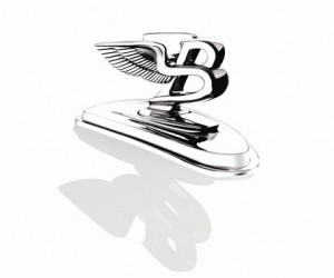 The issue involves rust around the hood ornament preventing it from retracting in suc...