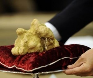 Stanley Ho recently matched his own world record price paid for a truffle when he bou...