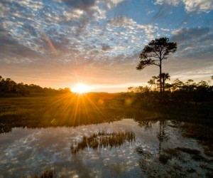 Kiawah Island is a private community of scope and sophistication, an idyllic retreat