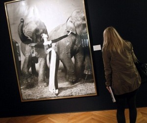 A selection of prints by the late, great Richard Avedon fetched $7.5 million at a rec...