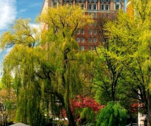 We've seen some crazy-insane hotel packages before, but this one takes the very expen...